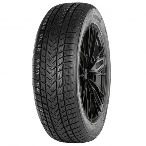 215/55 R17 98V XL GRIPMAX SUREGRIP EWINTER